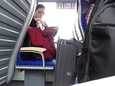 Du milžiniški gaidžiai smogė mergaitei į užpakalį.